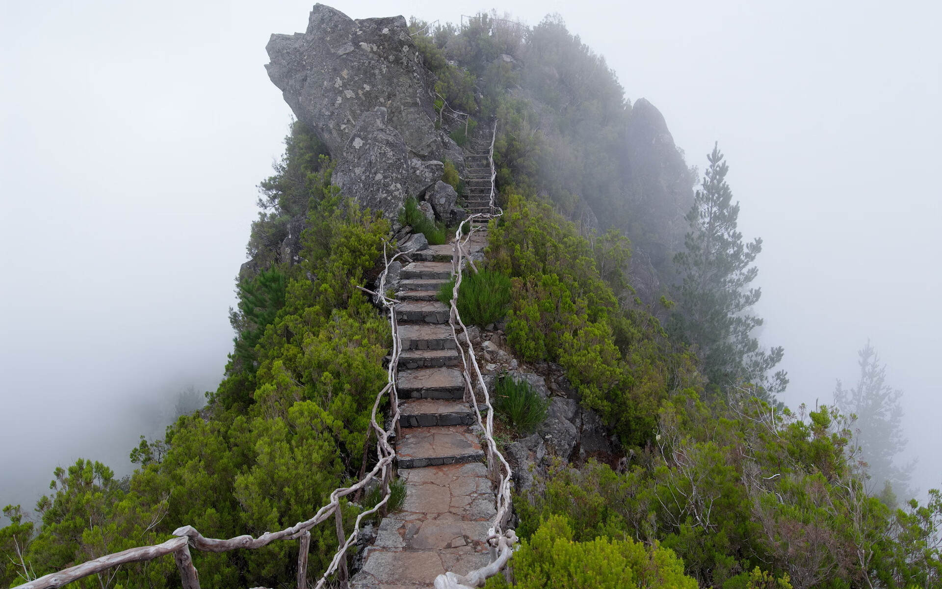 世界短道速滑科研训练模型应用示范基地第30批揭牌通知,世界短道速滑强国